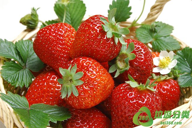 腐烂的草莓属于什么垃圾分类？
