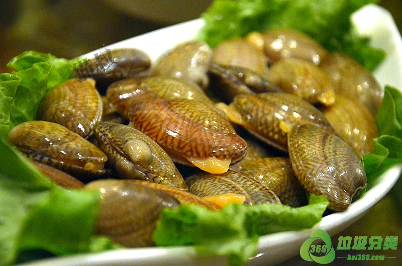 油蛤壳属于什么垃圾分类？